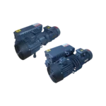 REICH OV0040 - OV0100 oil-lubricated rotary vane vacuum pumps